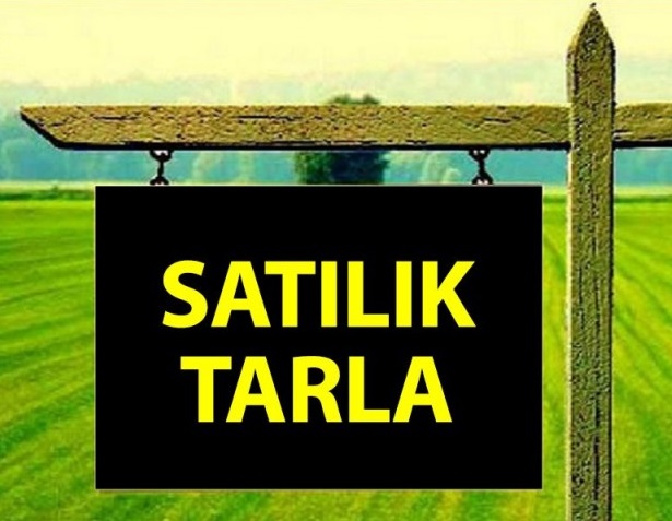 SİLİFKE HASANALİLER ÇOKU MEVKİİNDE KIZKALESİ VE KIBRIS MANZARALI 1300M2 SATILIK TARLA